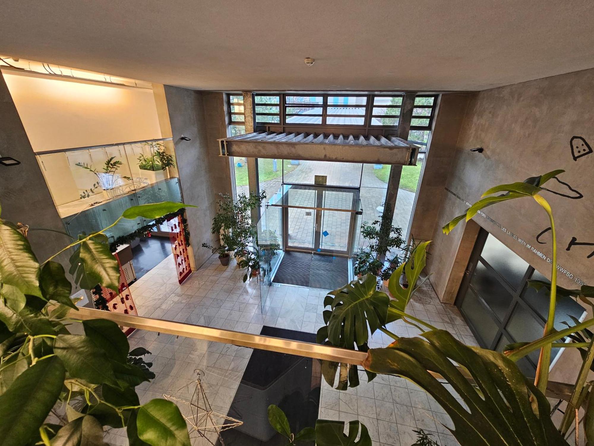 Yuki'S Place - Un-Vic, Danube Beach And Subway Near To Downtown Viena Exterior foto
